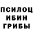 Галлюциногенные грибы GOLDEN TEACHER Zona Master