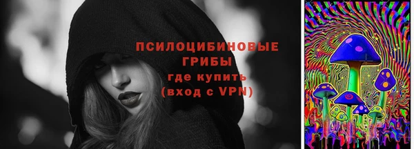 скорость Ладушкин