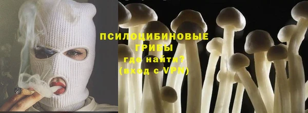 скорость Ладушкин