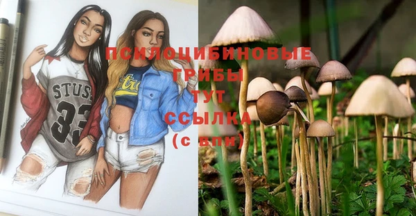 кокс Лагань