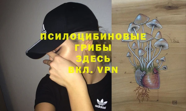 стаф Лабытнанги