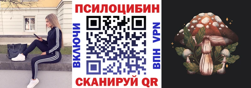 Псилоцибиновые грибы прущие грибы  сколько стоит  МЕГА как войти  Хилок 